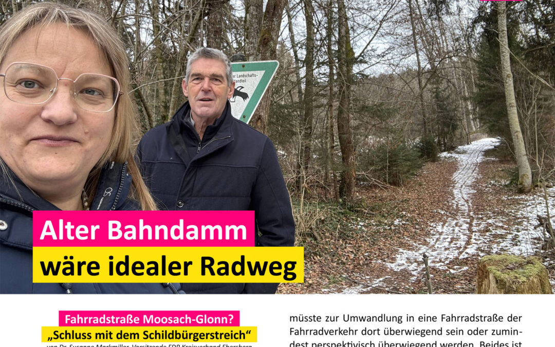 Liberaler Blick Nr. 10 – Schildbürgerstreich Fahrradstraße